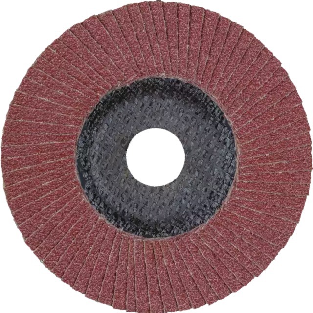 Disque A Lamelles 125 MM Grain 80 Polifan Pferd référence fournisseur 1925338